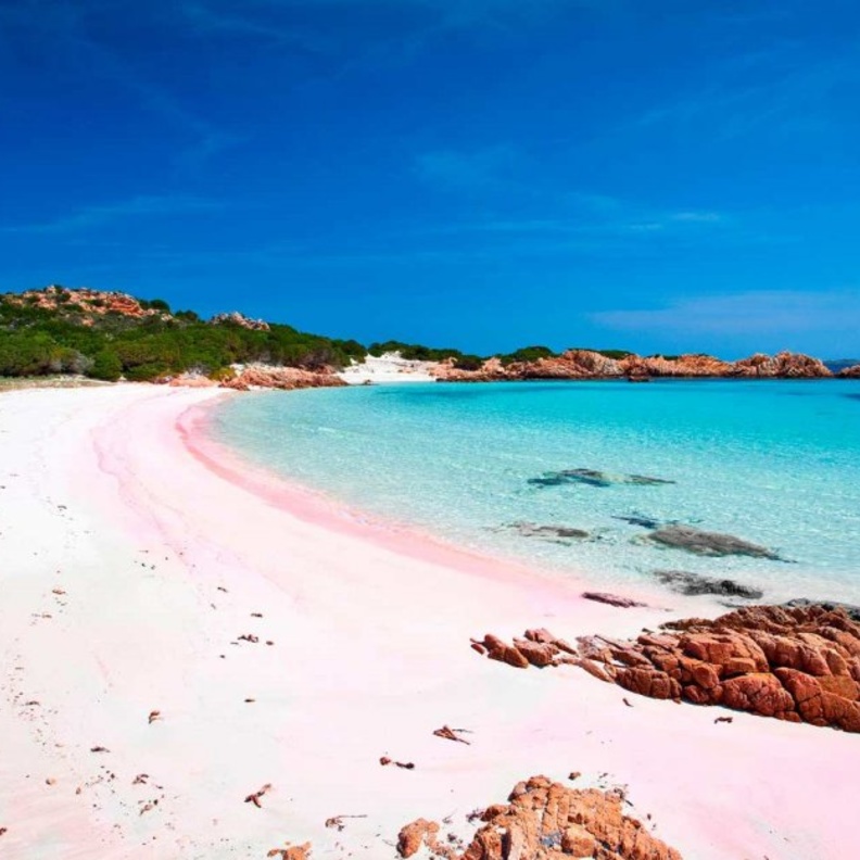 من Pink Sand Beach