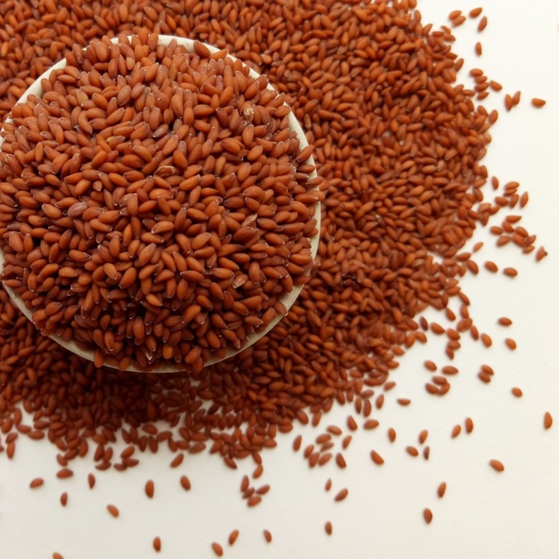 ماهي فوائد حب الرشاد للمفاصل