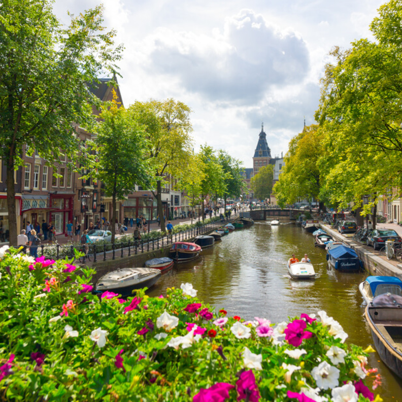 مشهد من روتردام