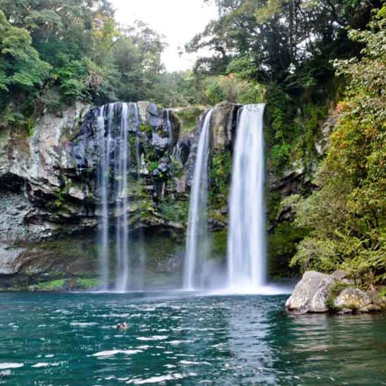 شهر العسل في جيجو كوريا الجنوبية