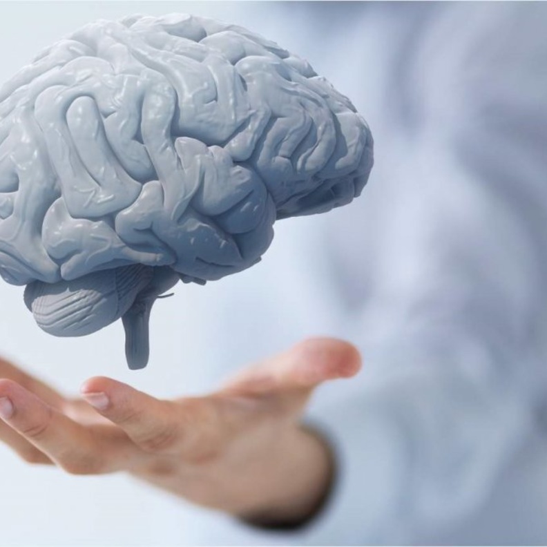 جفاف الجسم يضر صحة الدماغ