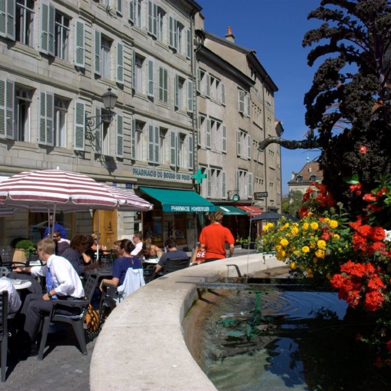 روعة الزهور في الحديقة الإنجليزية