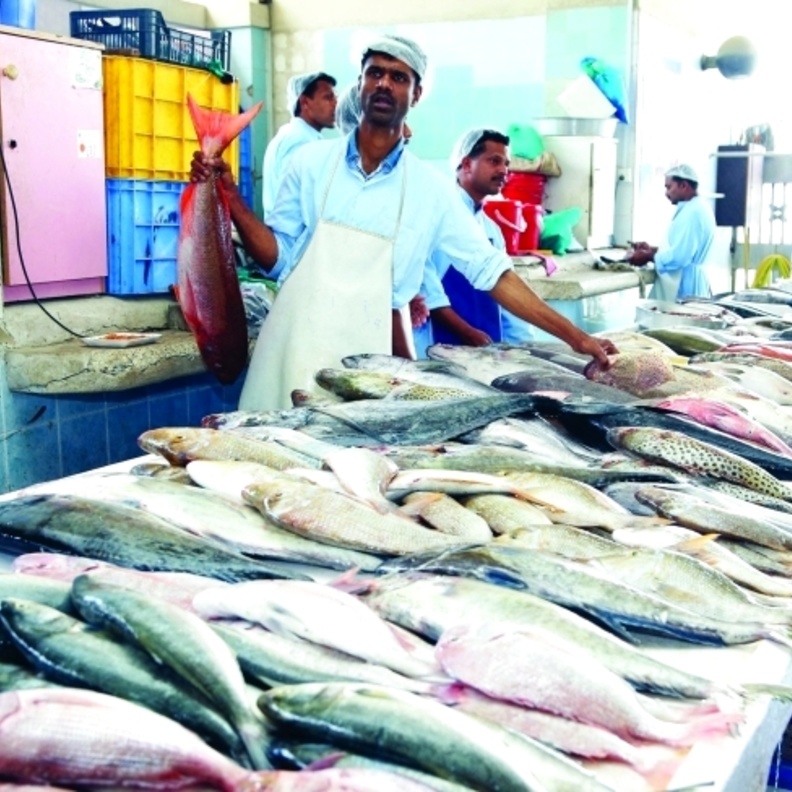 60 % زيادة في أسعار الأسماك بالساحل الشرقي في الإمارات