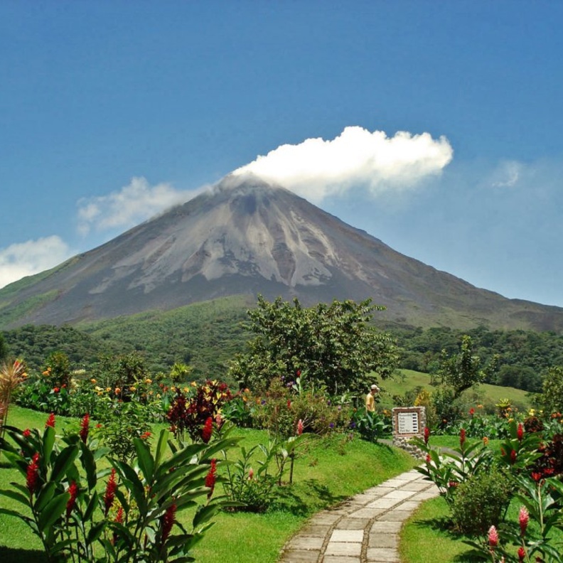 محمية غابة مونتفردي المغيمة في وسط كوستاريكا