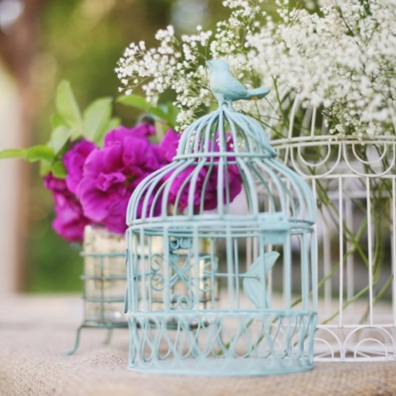 قفص على الواح خشبية