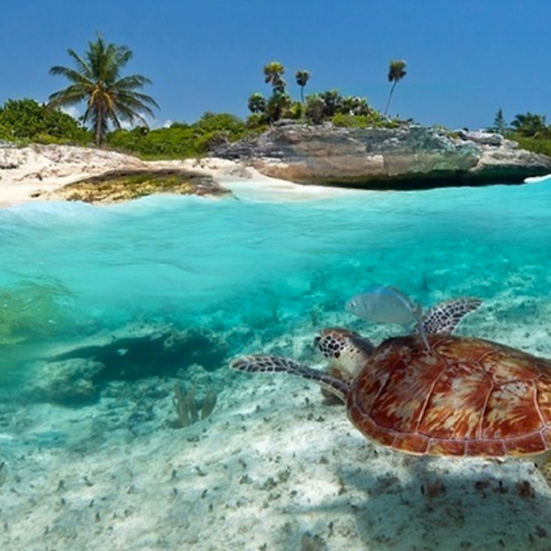 من سالزبورغ