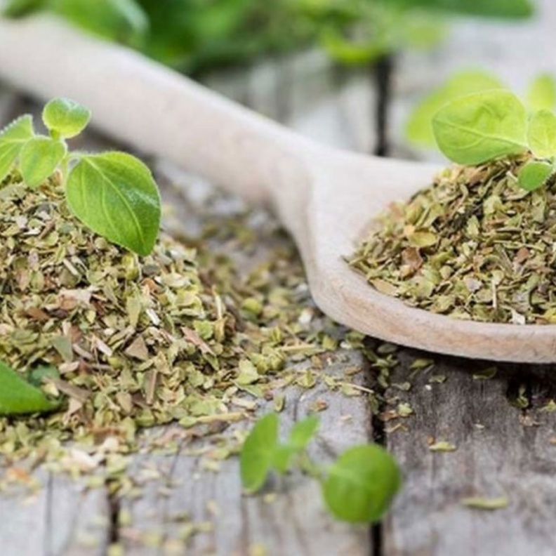 البردقوش يعزز مناعة الجسم