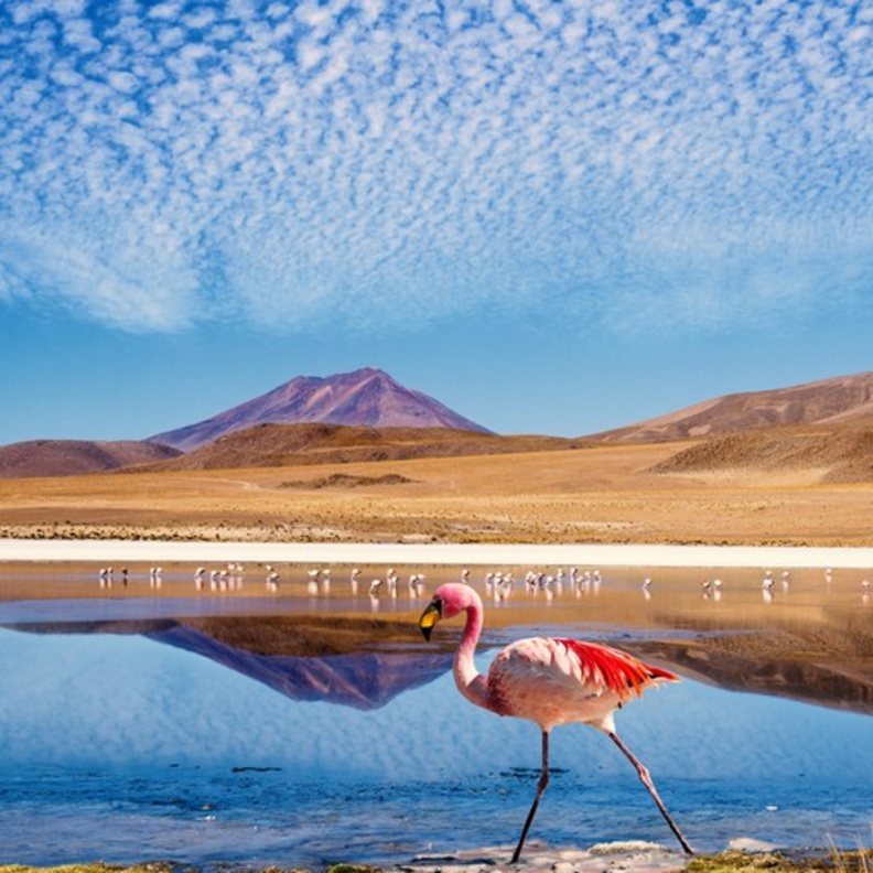  تعلم عدد من العبارات والكلمات الأساسية الهامة باللغة الإسبانية