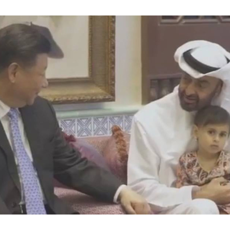 لقاء الرئيس الصيني بالشيخ محمد بن زايد وسط عائلته وأحفاده