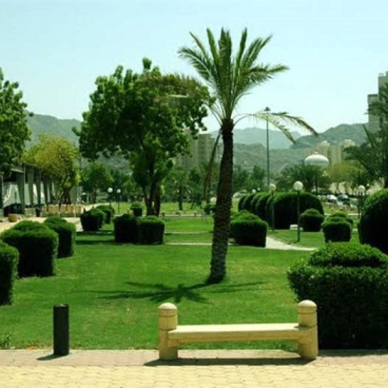 الحديقة الذكية في إمارة الحدود الشمالية سوف تعمل بالطاقة الشمسية