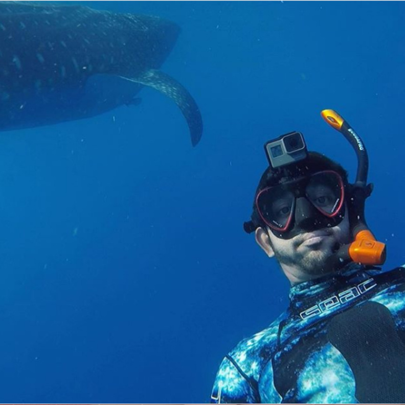 فزاع يسبح مع الحوت الأزرق أخطر أسماك القرش