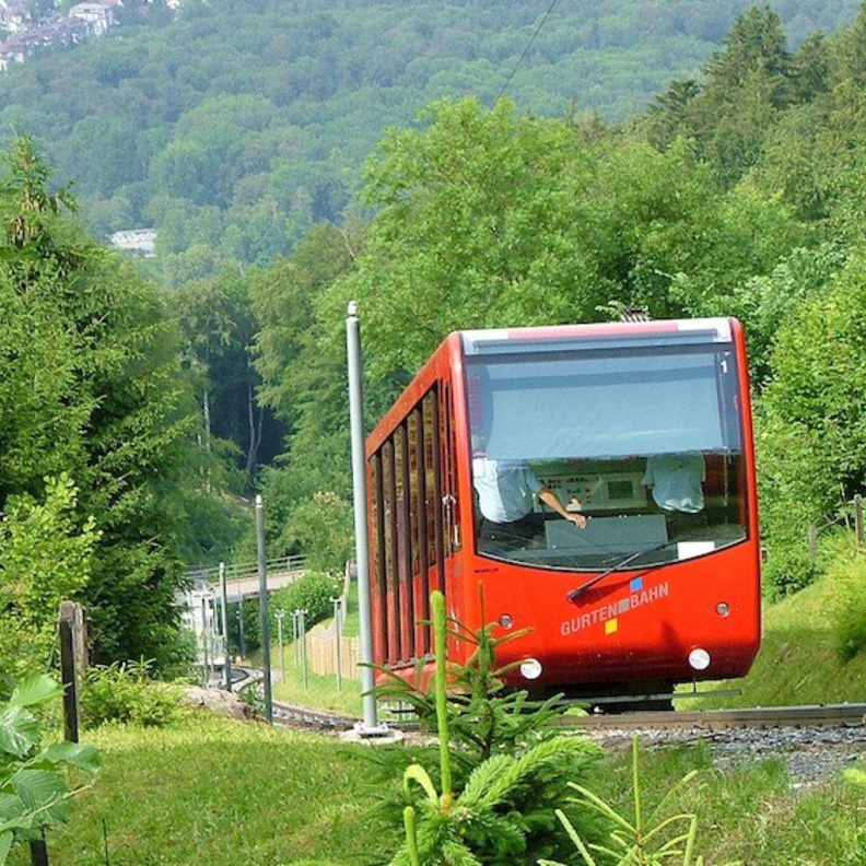 حديقة الدببة في الاماكن الممتعة للزيارة خلال شهر العسل