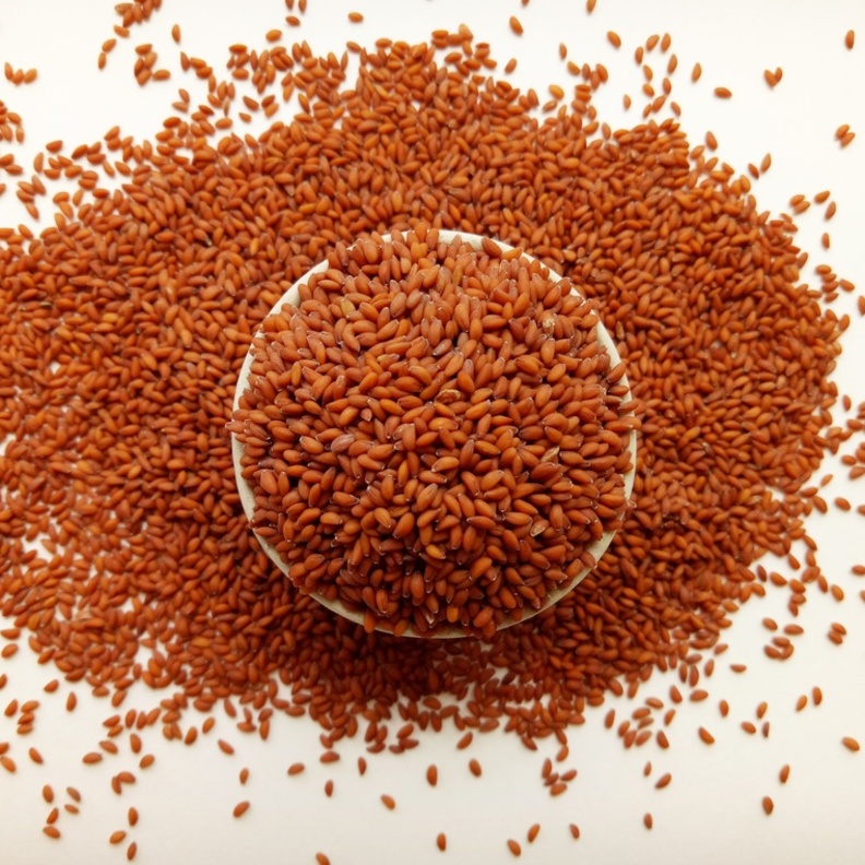 ما فوائد حب الرشاد للجسم