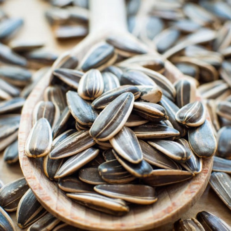 اللب السوري يقي من السكري من النوع الثاني