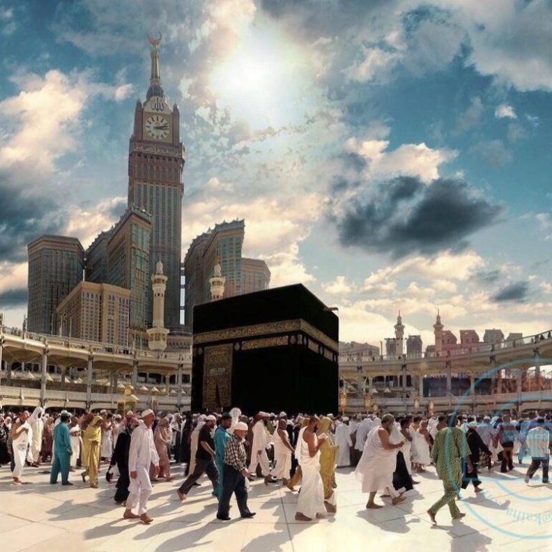 من المتوقع أن تكون درجة الحرارة ما بين 36 و 38