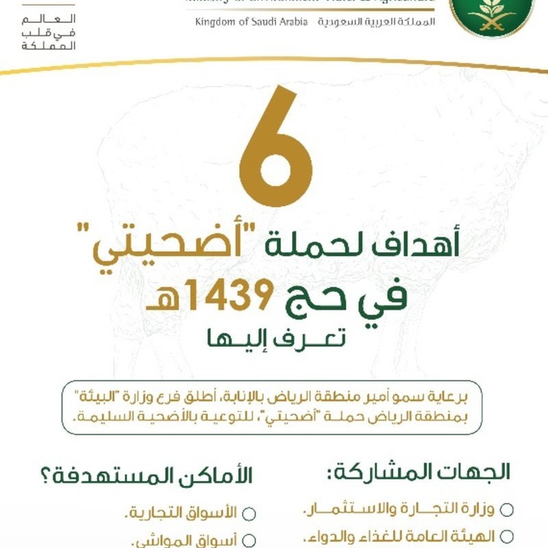 البيئة تطلق حملة أضحيتي في حج 1439 