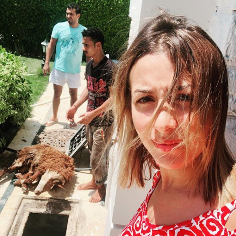 جنات وخروف العيد