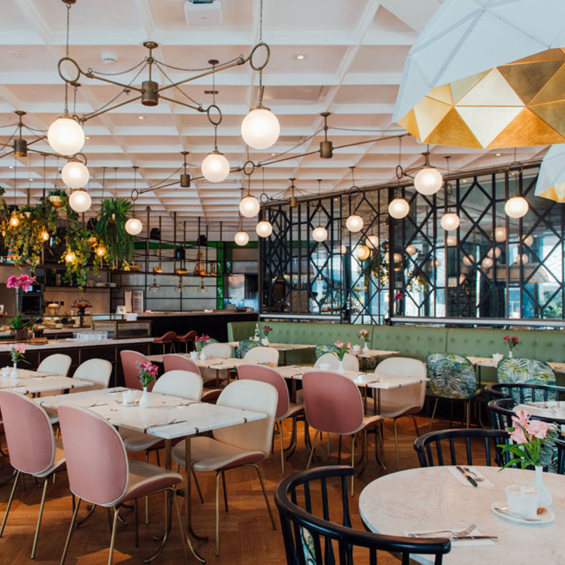 طبق الدجاج المميز