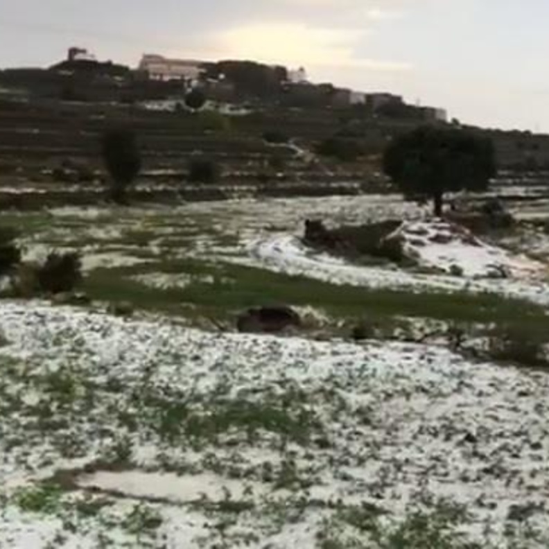 التزلج على الثلوج