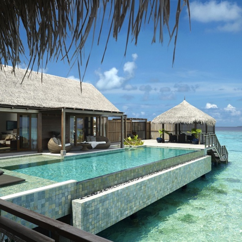 الجناح في المياه