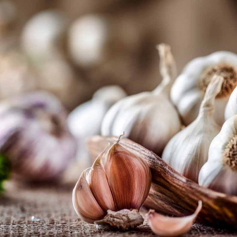 فوائد تناول الثوم على الريق