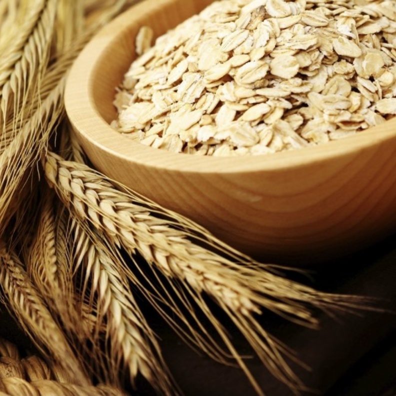 فوائد الشوفان لانقاص الوزن وتقليل نسب الكوليسترول