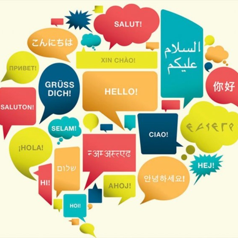  تعلّم و حسّن لغتك مع تطبيق لينغو Lingo