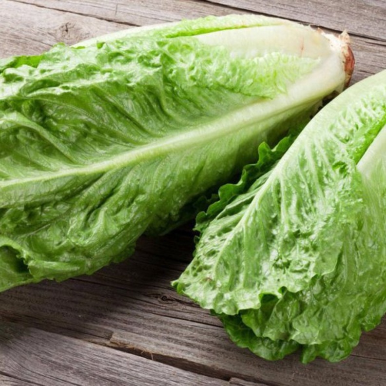 الخس يعزز مناعة الجسم لدى مريض السكري