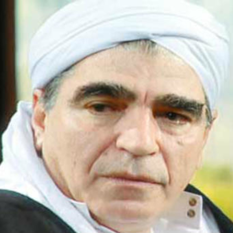 محمود الجندي 