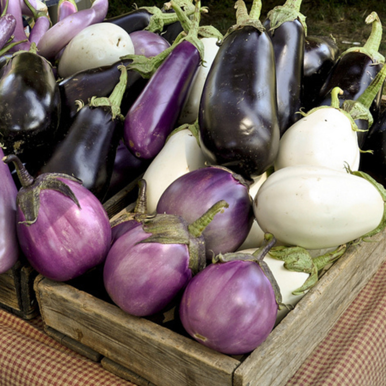 الباذنجان مفيد لصحة المعدة و الكبد