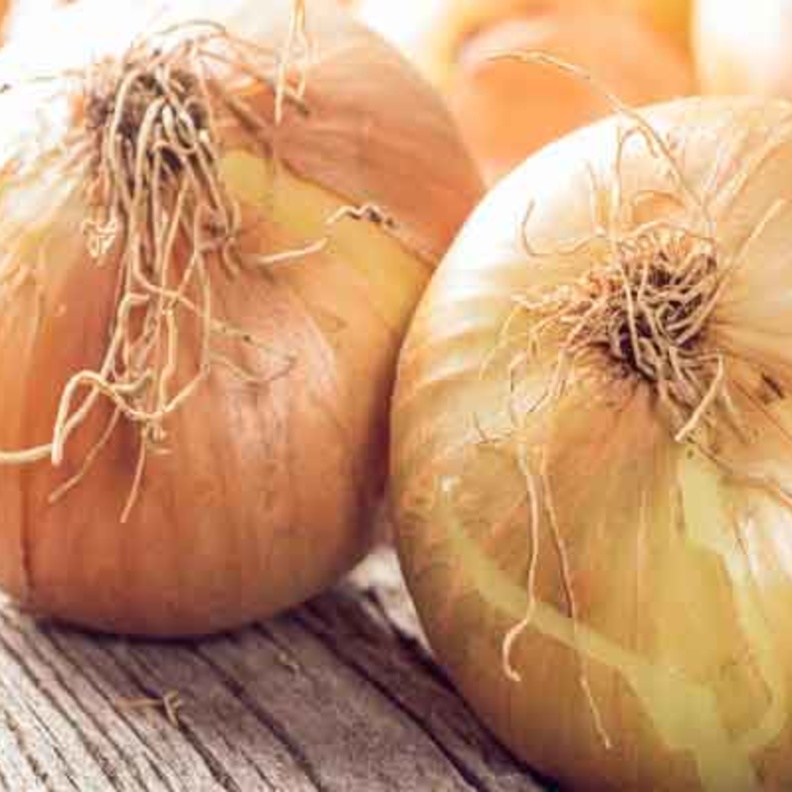 البصل يقي من هشاشة العظام