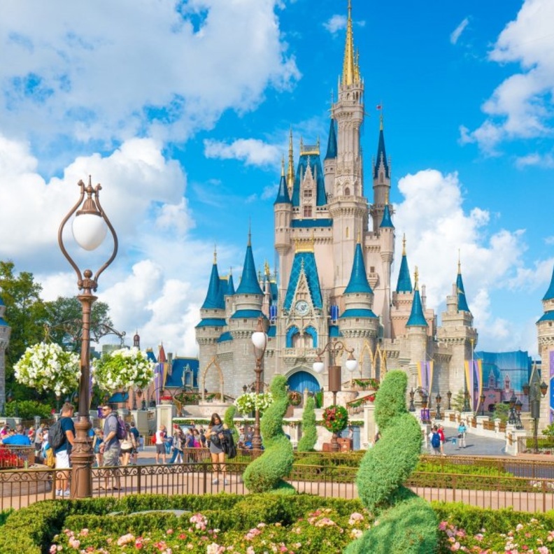  إيفرجلادز Everglades