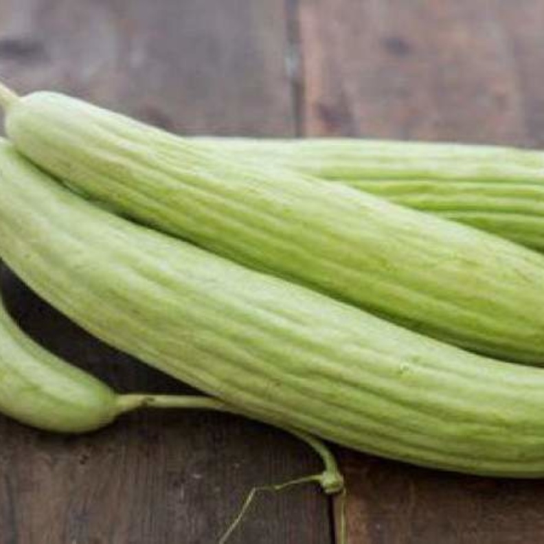 القثاء يعزز مناعة الجسم