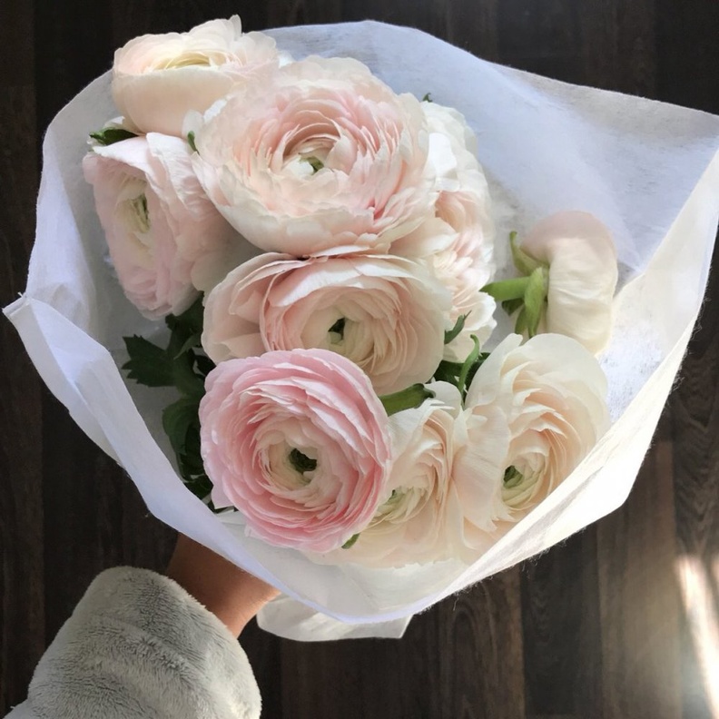 ورد الحوذان