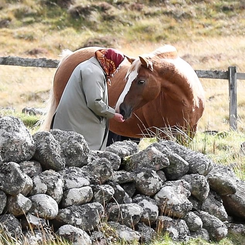  الأمير فيليب لم يظهر بصحبة ملكة بريطانيا في رحلة الصيد