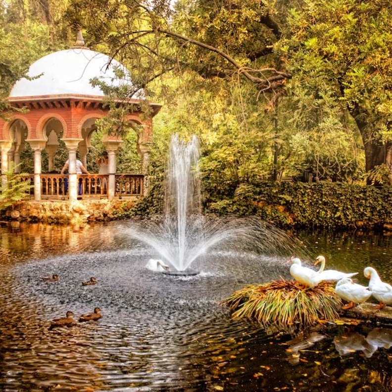 مدينة نوفوسيبيرسك