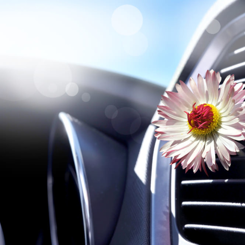 رائحة السيارة السيئة