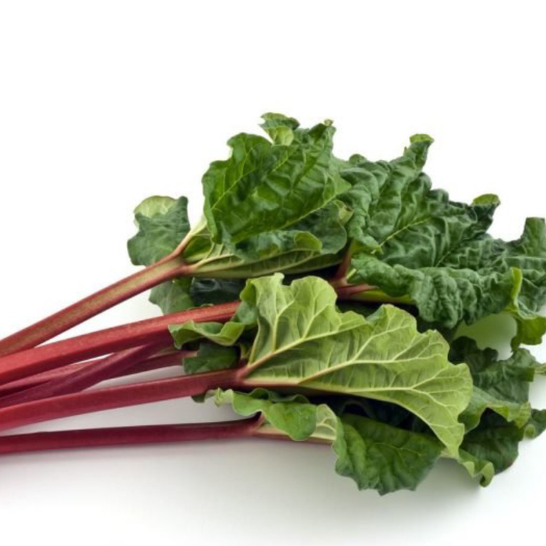 عشبة الراوند تعزز مناعة الجسم