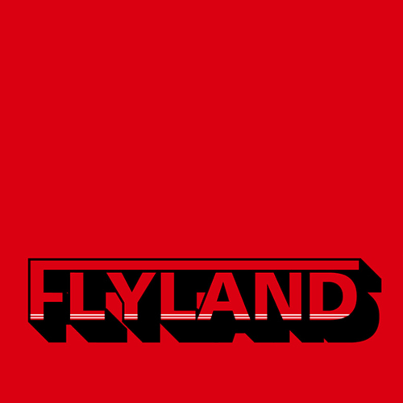 فلاي لاند ..  قوة اقتصادية متينة فوق السحاب