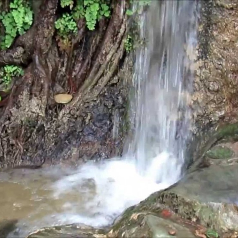 تميزت قرية ذي عين بعيونها العذبة