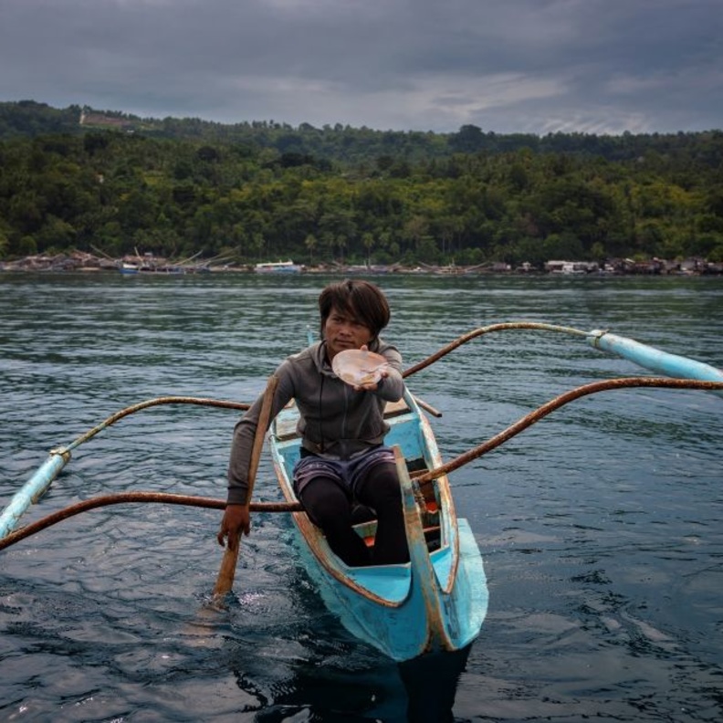 جمالية منتجع بيرل فارم بيتش