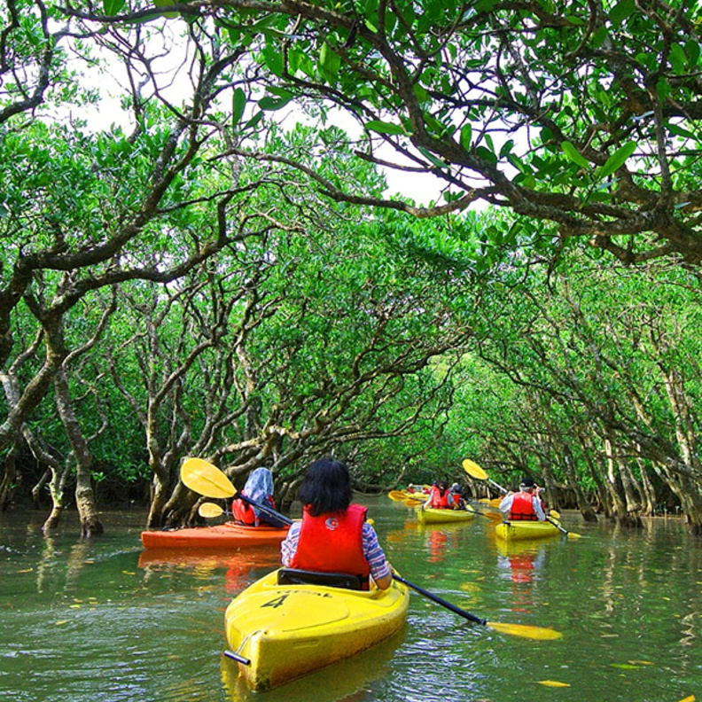 افضل جولات تجديف الكاياك في أبوظبي