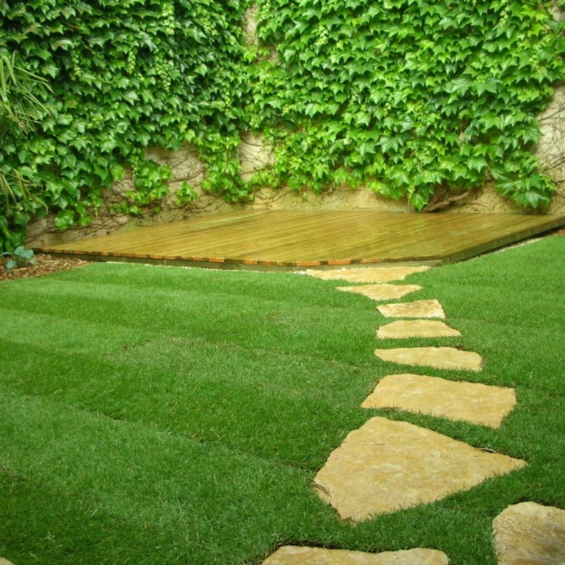 إنشاء أول حديقة ذكية متكاملة في الإمارات العام المقبل