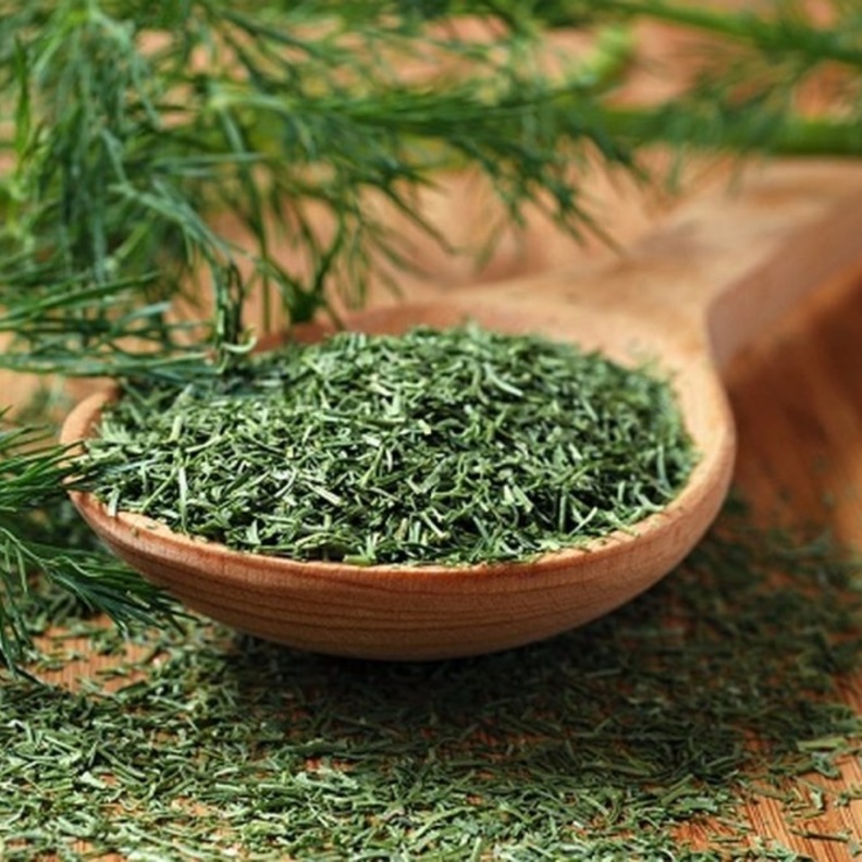 فوائد الشبت لإنقاص الوزن