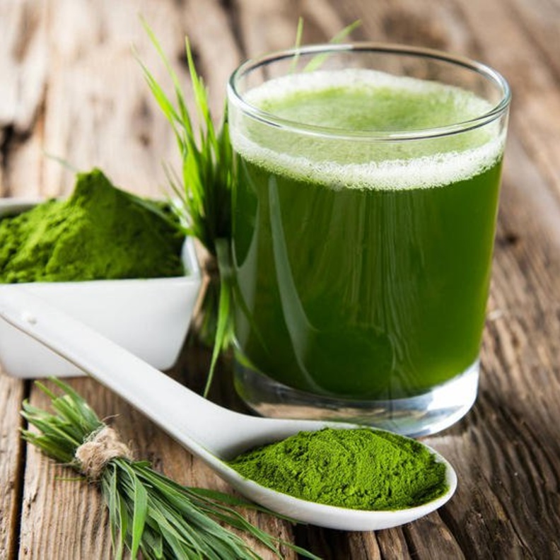 طحالب السبيرولينا تعزز مناعة الجسم