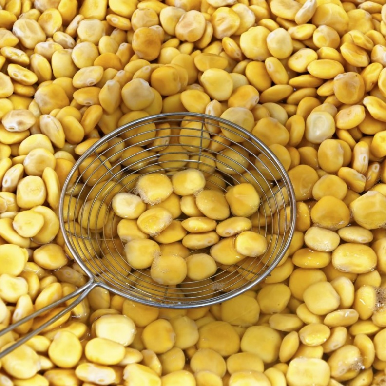  يساعد الترمس على تخليص الجسم من السوائل السامة عن طريق إدرار البول