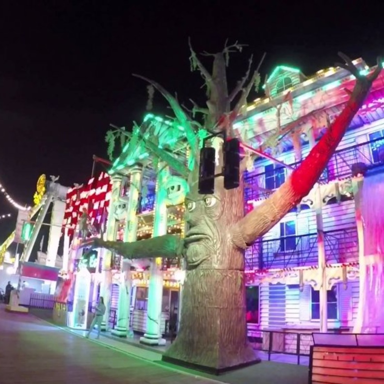 بدء العد التنازلي لإفتتاح القرية العالمية