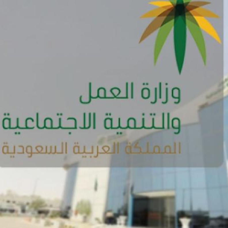  السماح لذوي الاحتياجات الخاصة بـ 3 تأشيرات لاستقدام عمالة منزلية 