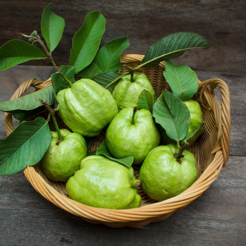 فوائد ورق الجوافة لانقاص الوزن