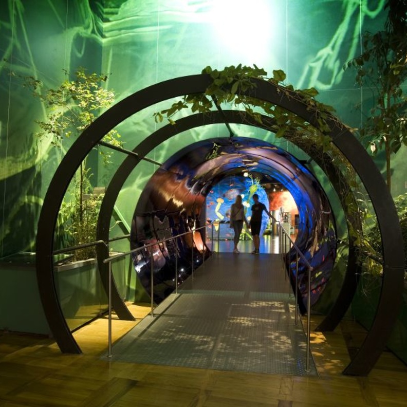 الحديقة الانجليزيةEnglischer Garten